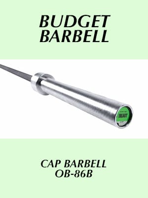 Recommended Barbells